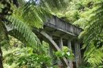 Image of BRIDGE TO NOWHERE LODGE & TOURS - Whanganui River